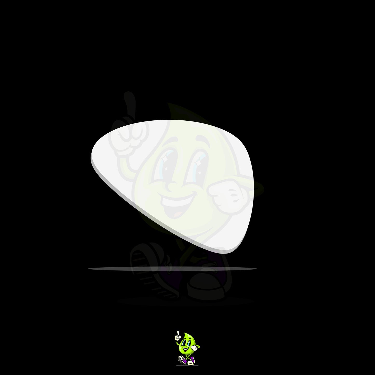 Blank Guitar Pick