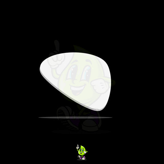 Blank Guitar Pick