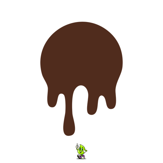 Chocolate Spray Can (12oz)