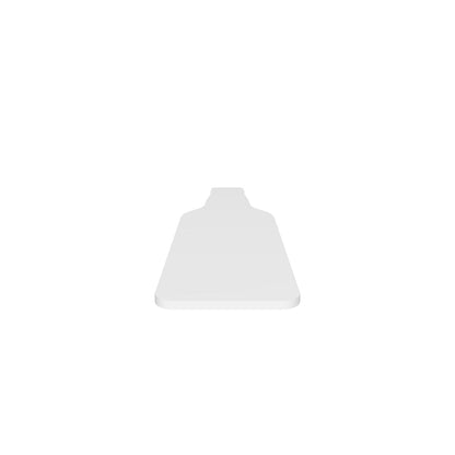 Blank Beer Bottle