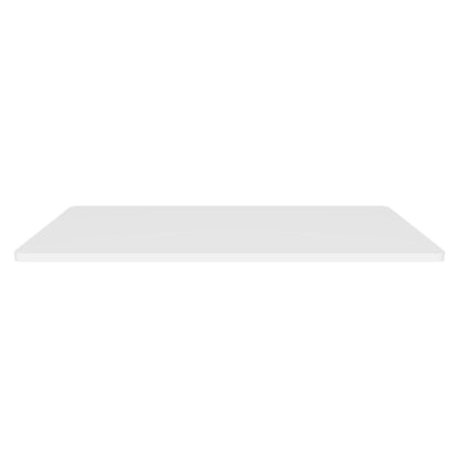Blank License Plate